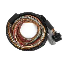 Haltech Nexus IO16 Universal Wire in Harness (1).webp