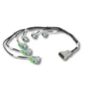 Haltech Injector Harness - i6 Primary USCAR EV6