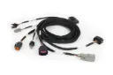 Haltech Nexus Harness Plug-In DBW Expansion