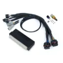 Haltech Plug and Play Nexus ECU Adapter - Honda EP3